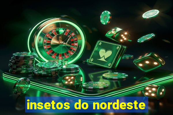 insetos do nordeste